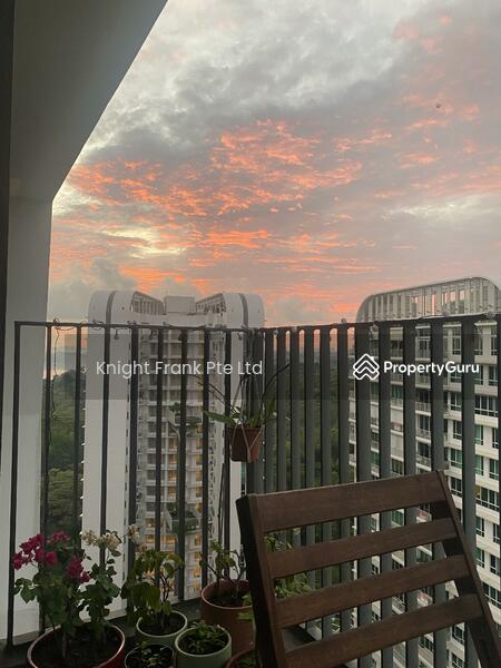 beautiful sunset