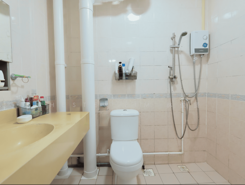 Master toilet