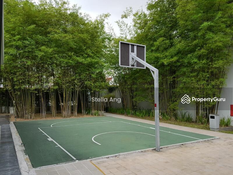 Basket Ball Court