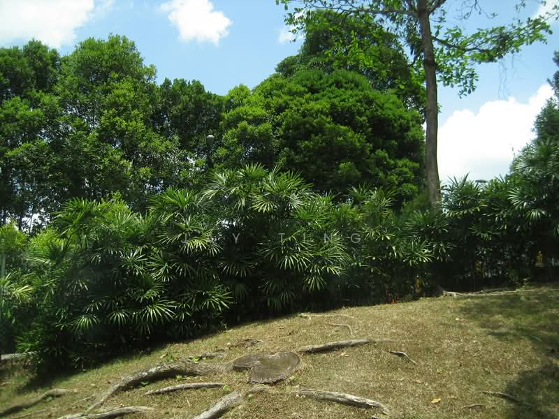 Morley Road Good Class Bungalow For Sale at S$ 45,000,000 | PropertyGuru Singapore