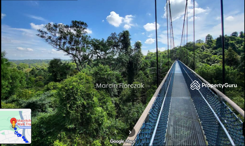 Macritchie Treetop Walk