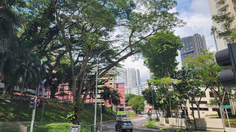 171 Stirling Road, 171 Stirling Road, Alexandra / Commonwealth, 2 Bedrooms, 650 sqft, HDB Flat For Rent, by Sara Ong, 60140447 - PropertyGuru.com.sg