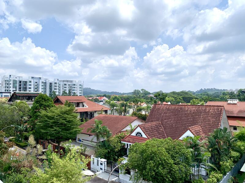 Panoramic view 