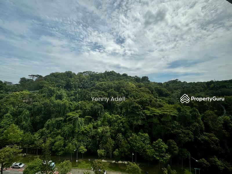 Greenery view 