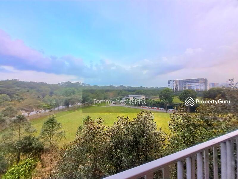 Superb Unblocked Greenery View!
