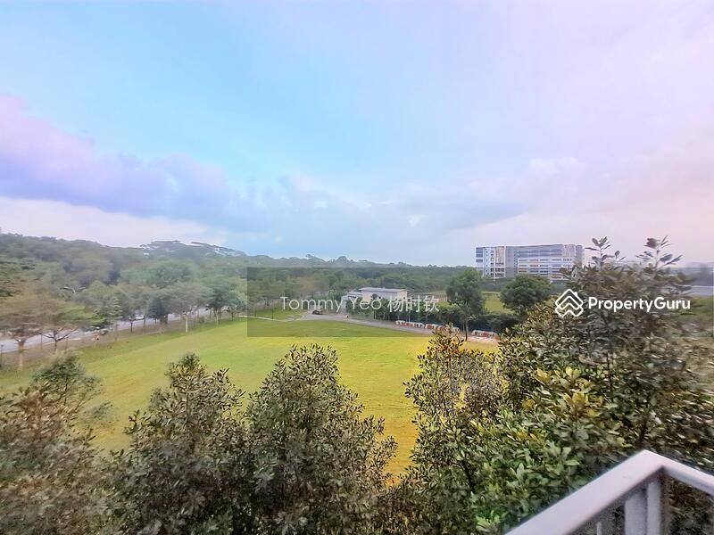 Superb Unblocked Greenery View!