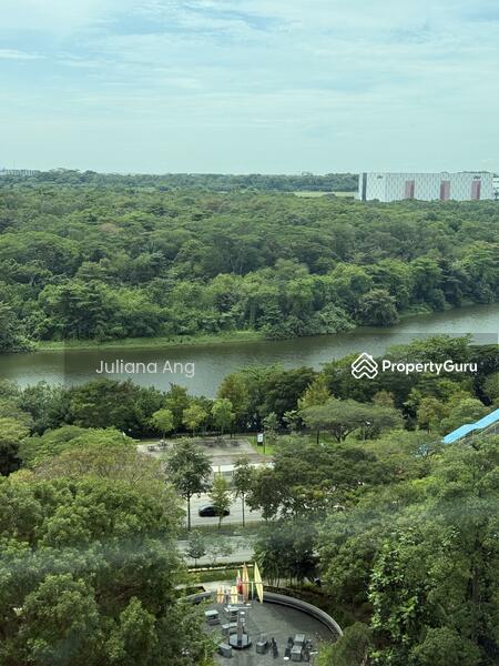Gorgeous River & Greenery  View