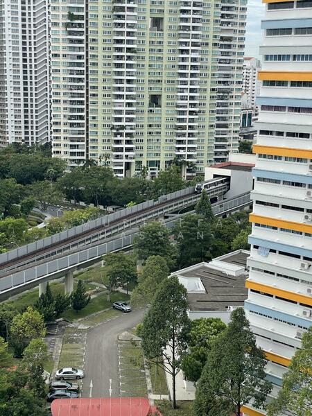 View
