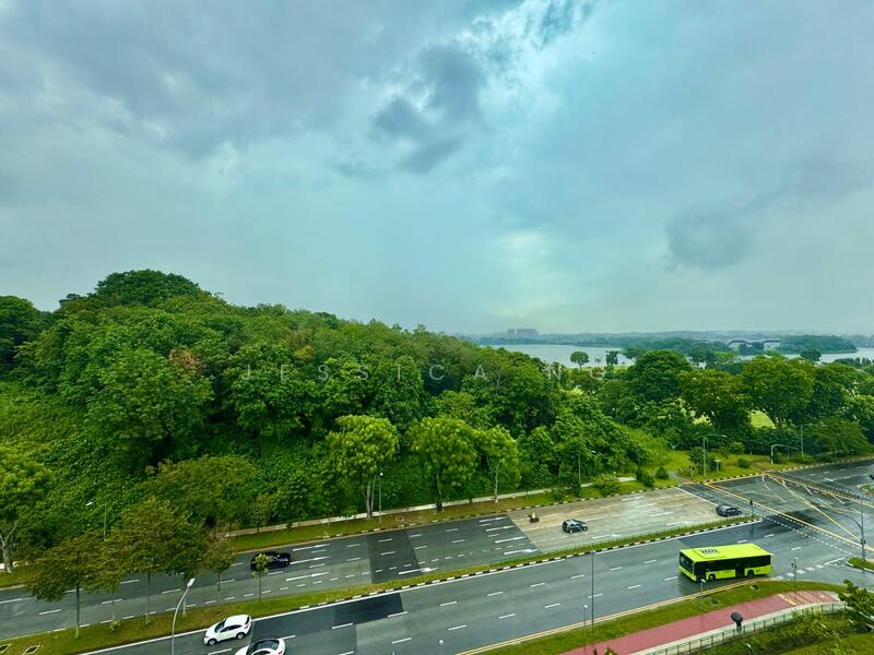View