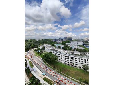 For Sale - Normanton Park