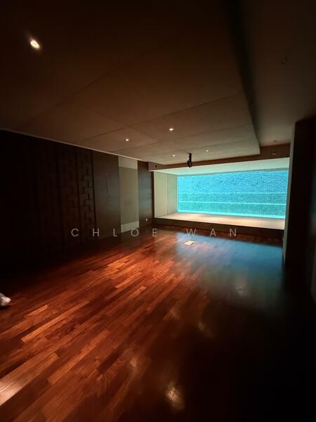 Entertainment room at the basement 