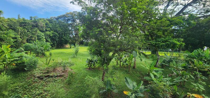 View from kitchen window