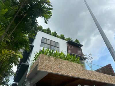 For Sale - Brand New SemiD at Fernhill Rd — Stevens MRT