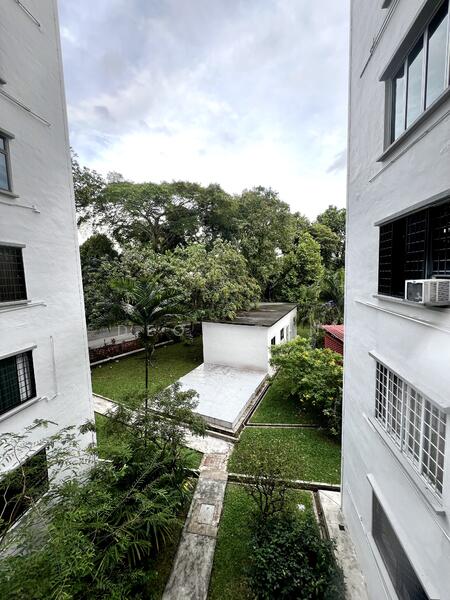 View from Yard 