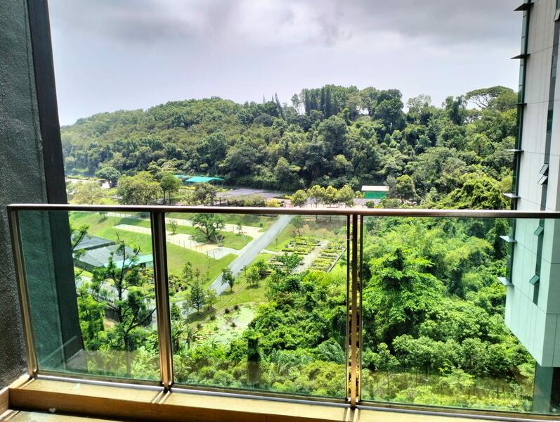 View