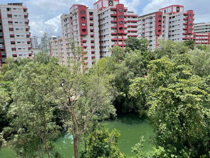Sungei Api Api park