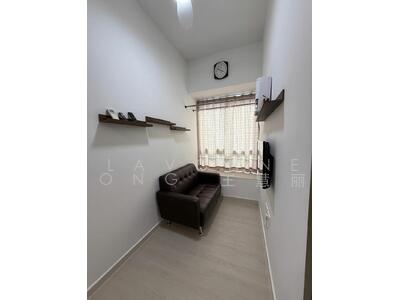 For Sale - Sycamore Tree