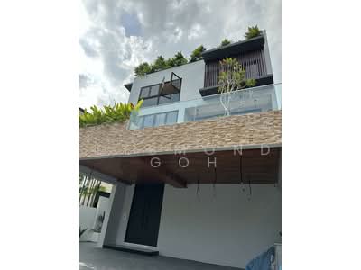 For Sale - ❤️ Amazing ! D10 New Freehold Landed Semi-Detached 4 Levels with Mezzanine & Private Lift ❤️