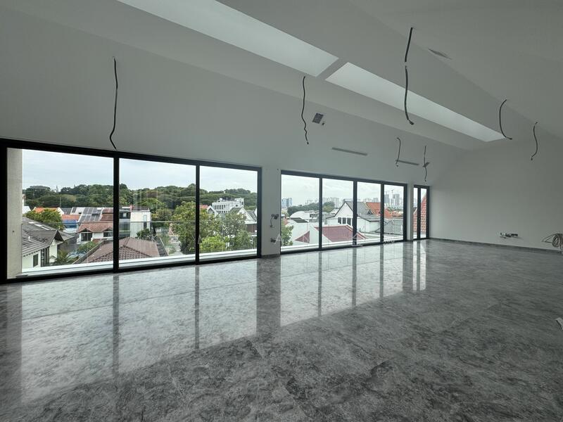 For Sale - Brand New & Luxury with Lift & basement, Living& dining hall with great view & sky light