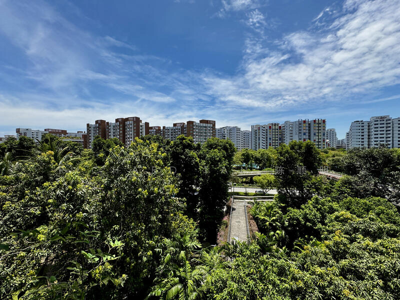View from Living Hall
