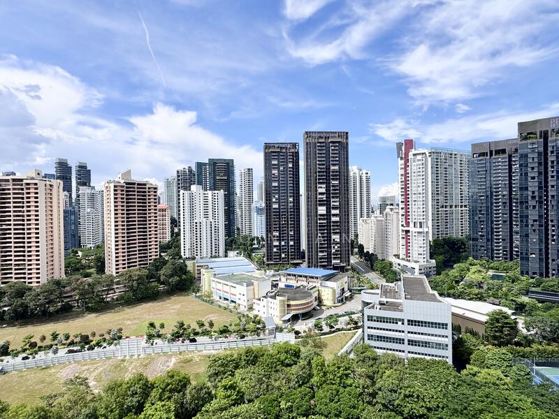 Unblock greenery and city view