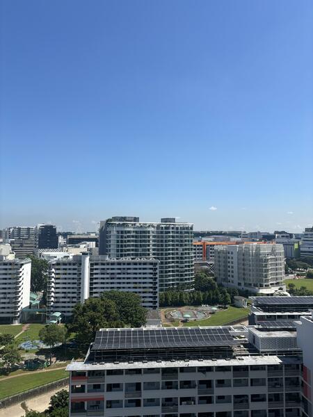 View