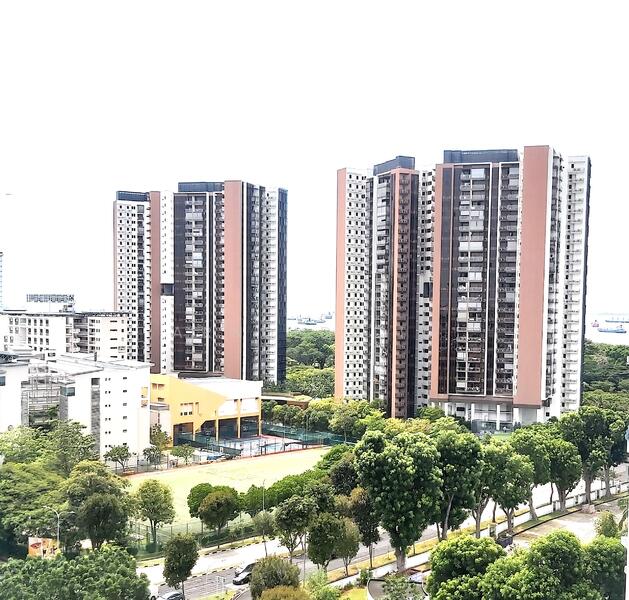 View