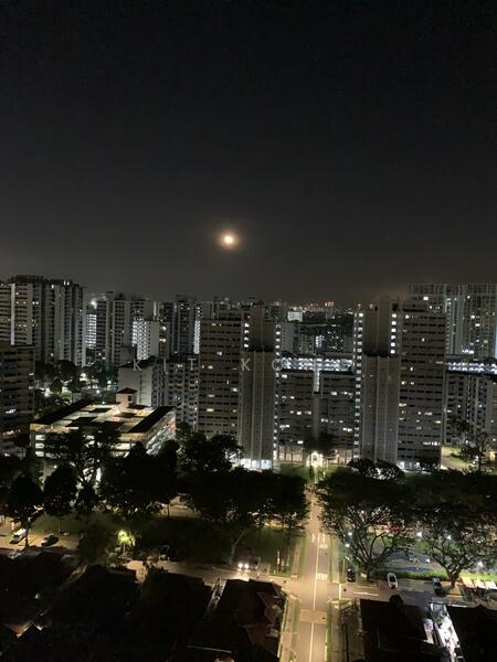 Night view with moon