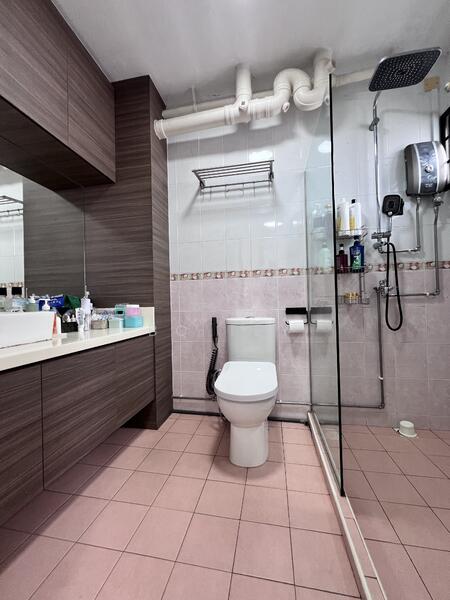 Dry and Wet toilet with vanity top