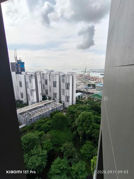 View
