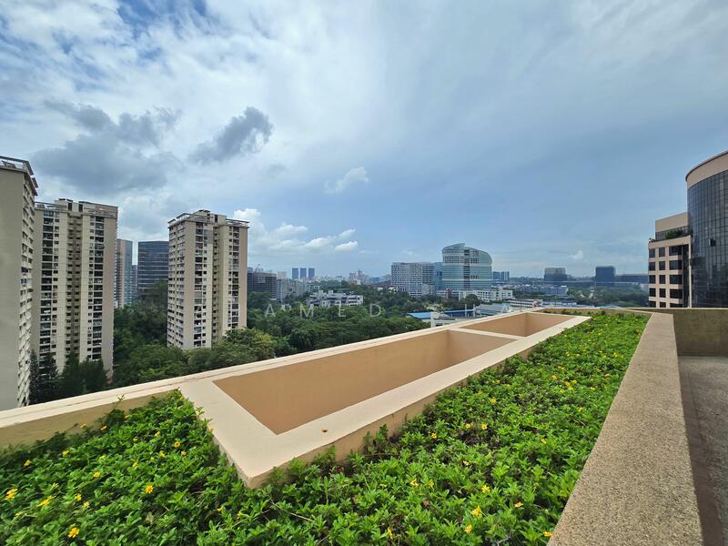 Almost Private Roof Terrace Right Side View