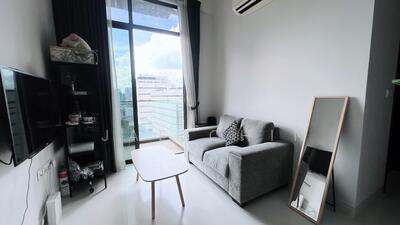 For Sale - Neem Tree