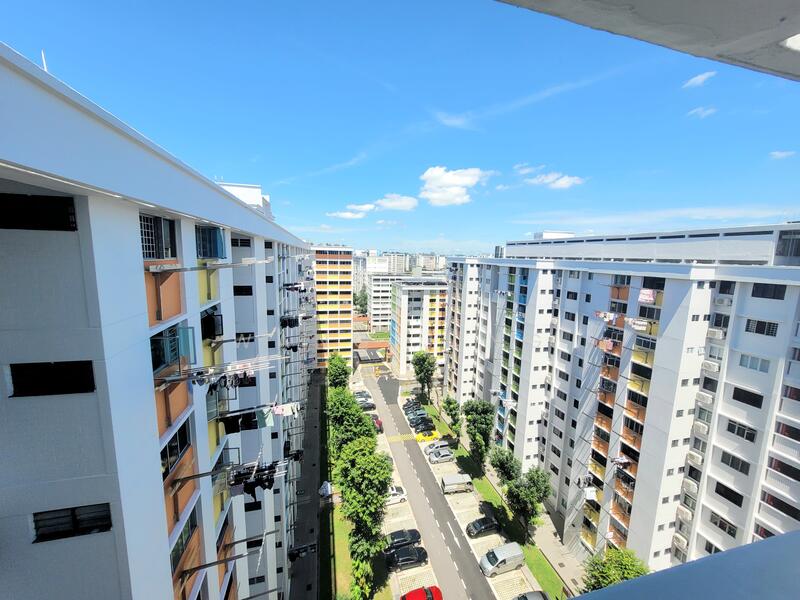 View from Window 