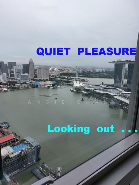 A View to love and cherish ...
