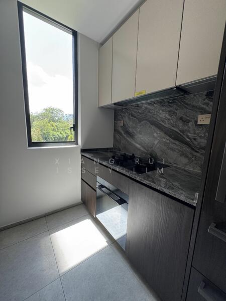 For Rent - Leedon Green