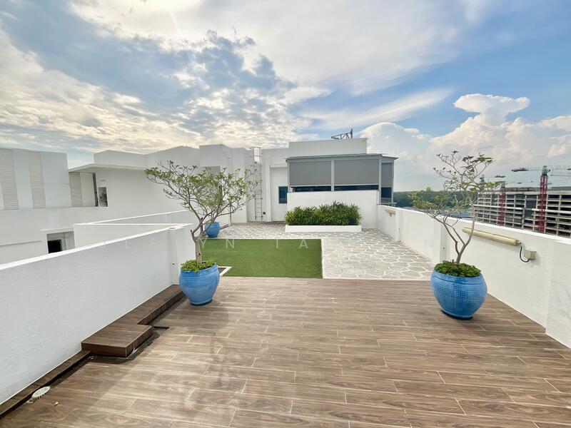 Rooftop Garden View