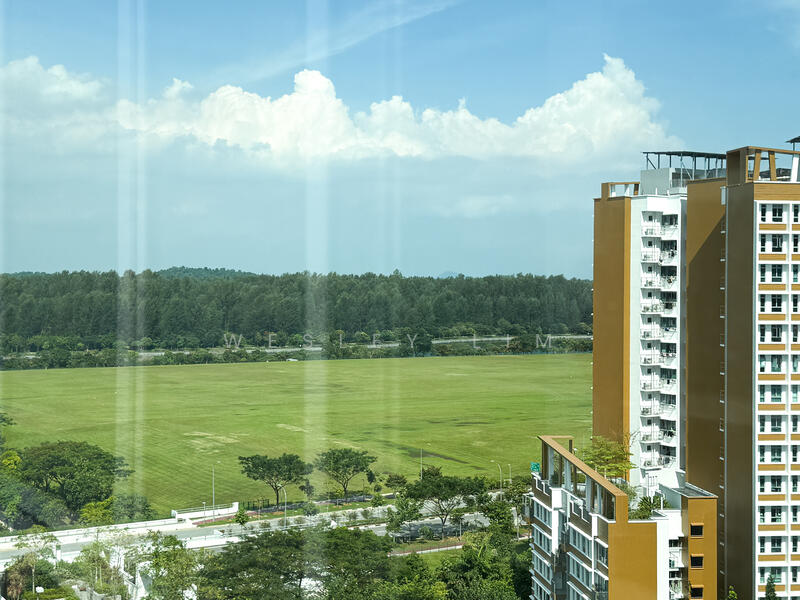 Day time view from living room