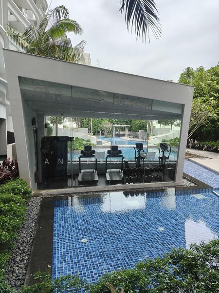 Gym & Lap pool 
