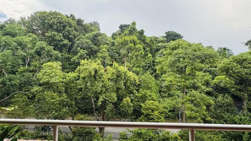 Greenery view