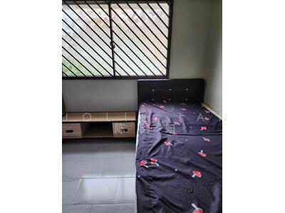 For Rent - 729 Yishun Street 71