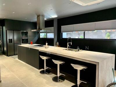 For Sale - Modern 2.5-Storey Semi-D Facing Park .Walk to Springleaf MRT