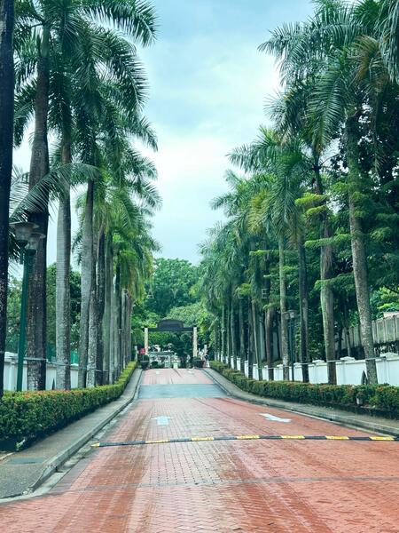 Resort feel drive way welcoming you home