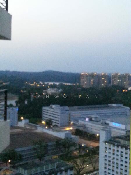 View