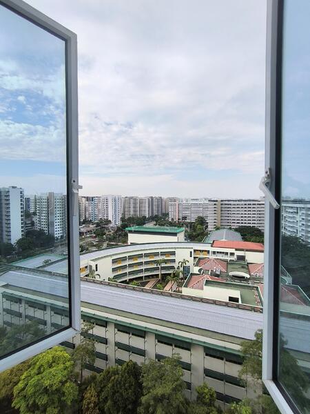 View from Balcony