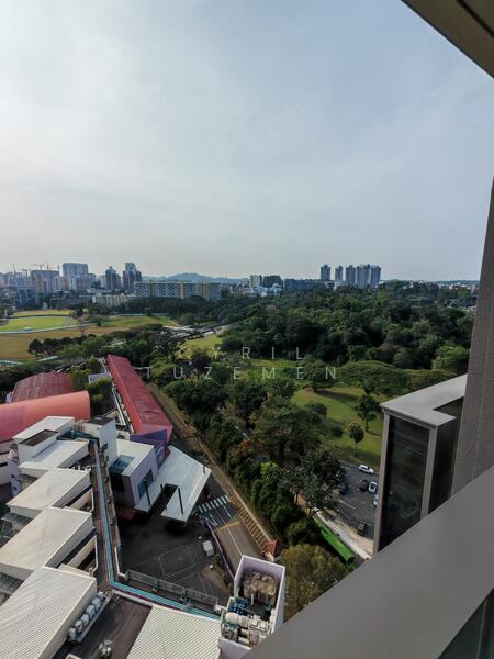 View