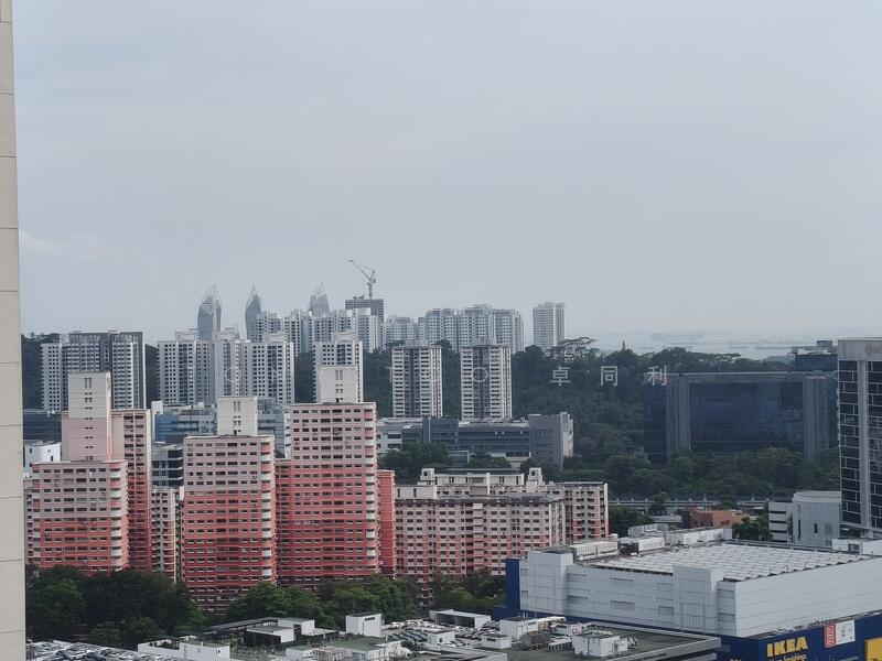 View from Living Room 
