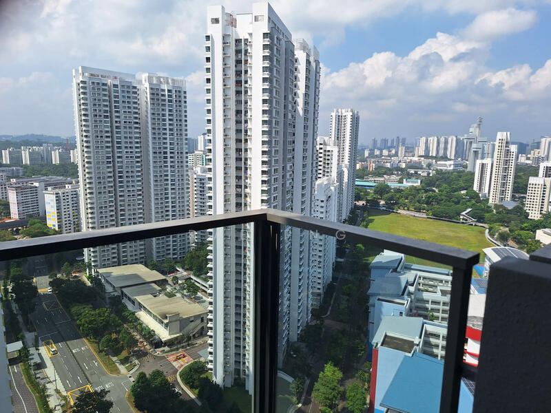 View