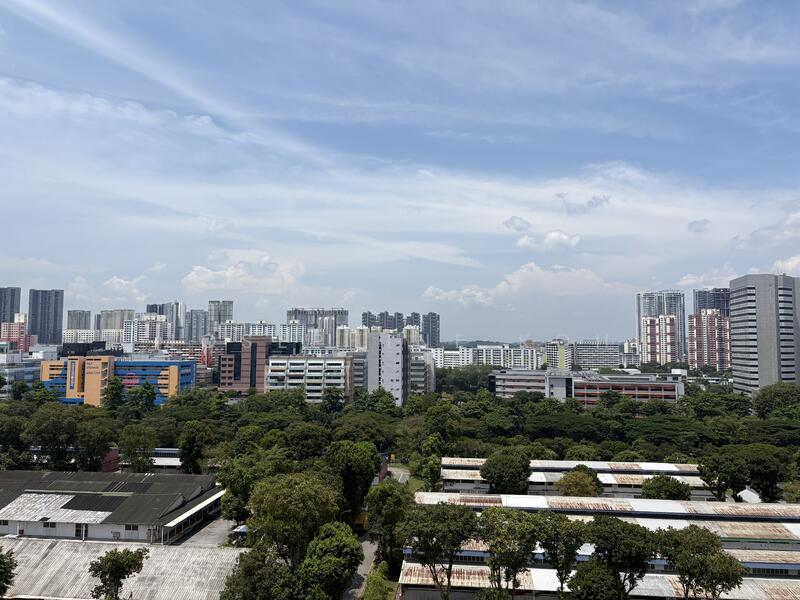 View