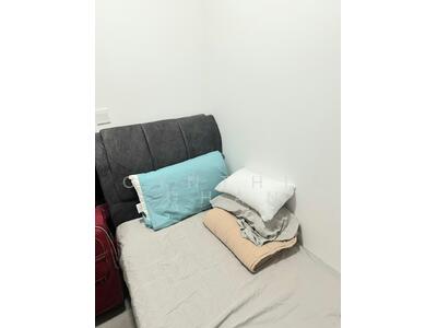 For Rent - Watercolours