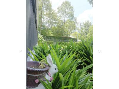 For Sale - CityLife @ Tampines